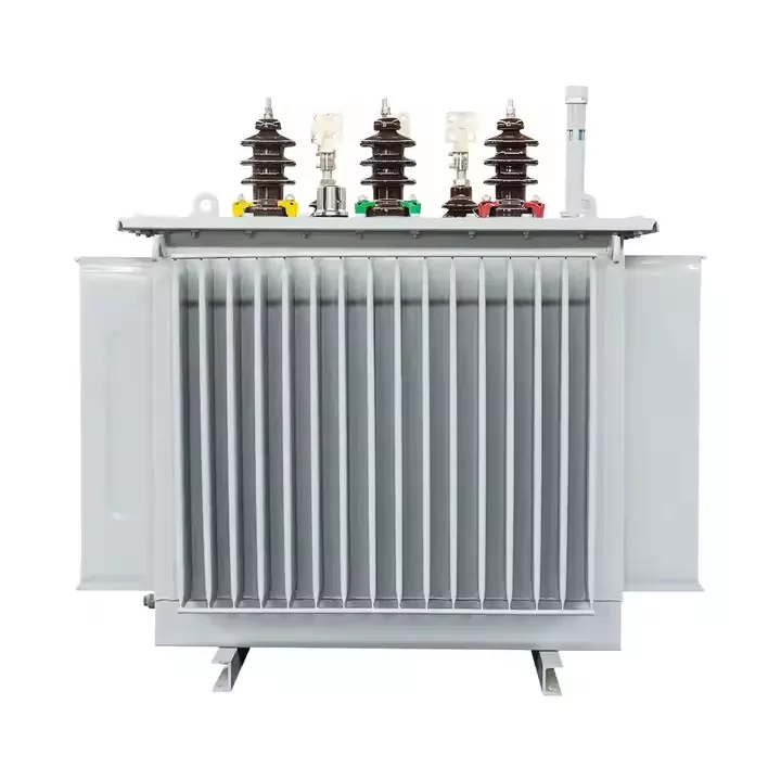 1000kva oleum immersa